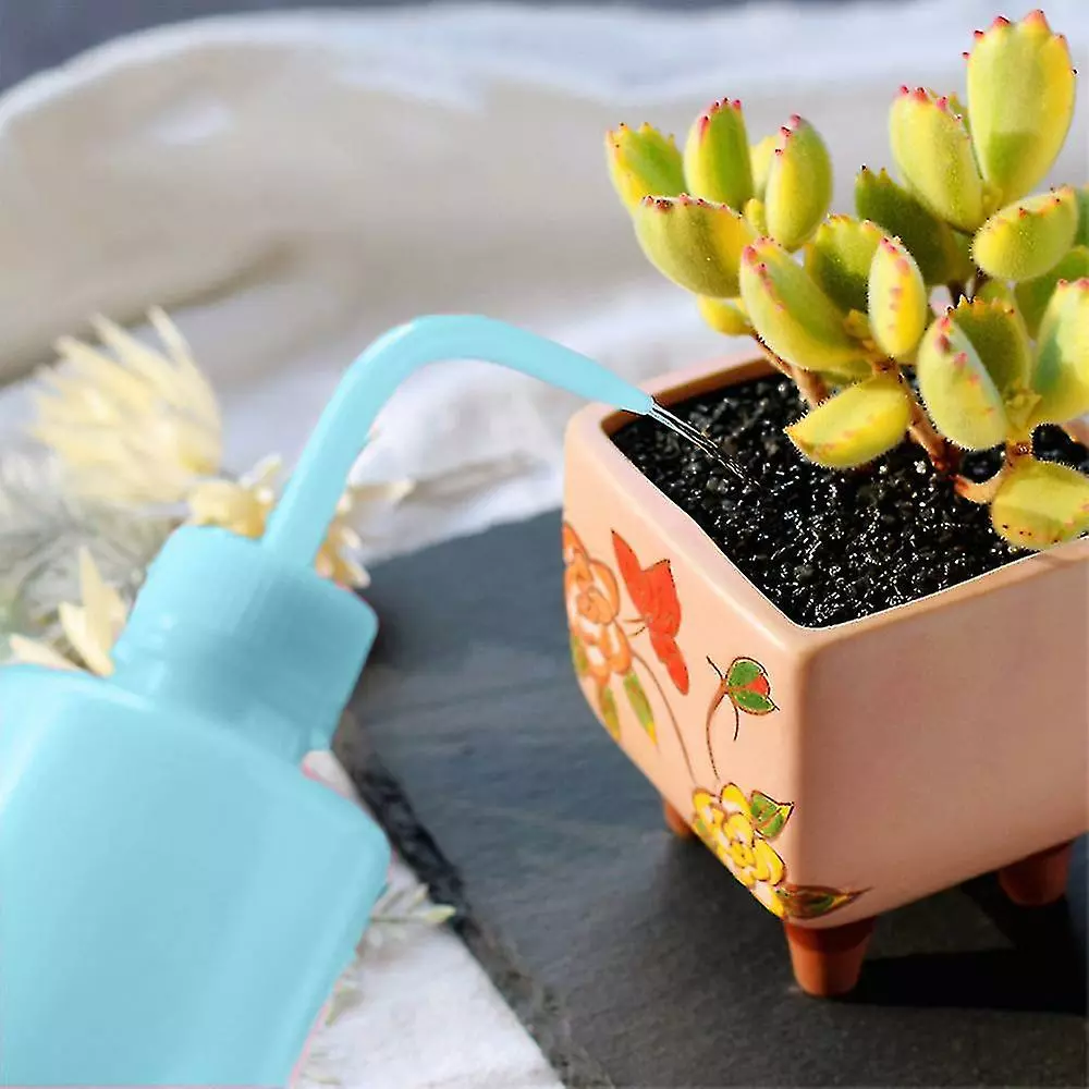 Unbranded 500 Ml Plastic Squeeze Type Watering Bottle Garden Tools Light Blue 7 Unbranded 500 Ml Plastic Squeeze Type Watering Bottle Garden Tools Light Blue - Image 5