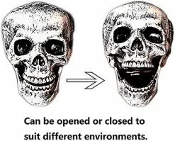 Unbranded Realistic Skeleton Stakes And Crow Halloween Decorations For Lawn Stakes Garden Halloween Skeleton Decoration -Piha myymälä 492046800 max