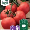 Nelson Garden Siemen Tomaatti, Kasvihuone-, Sparta F1 -Piha myymälä 4FMWSSpE43w9wF5O2W6xxq