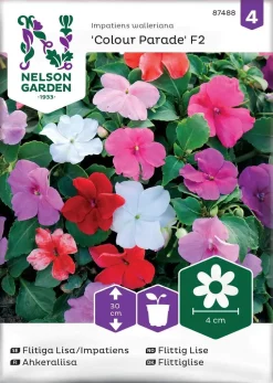 Nelson Garden Siemen Ahkeraliisa, Colour Parade F2, Väriseos