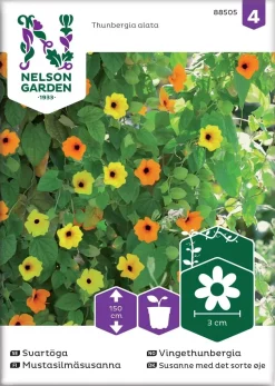 Nelson Garden Siemen Susanna, Mustasilmä-, Väriseos