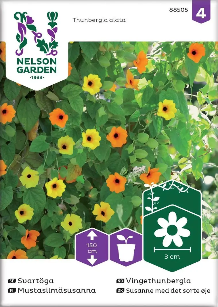 Nelson Garden Siemen Susanna, Mustasilmä-, Väriseos 3 Nelson Garden Siemen Susanna, Mustasilmä-, Väriseos