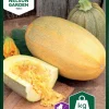 Nelson Garden Siemen Kurpitsa, Spagetti-, Vegetable Spagetti -Piha myymälä 4YA1GPV3axe9EuUnFuNJd0