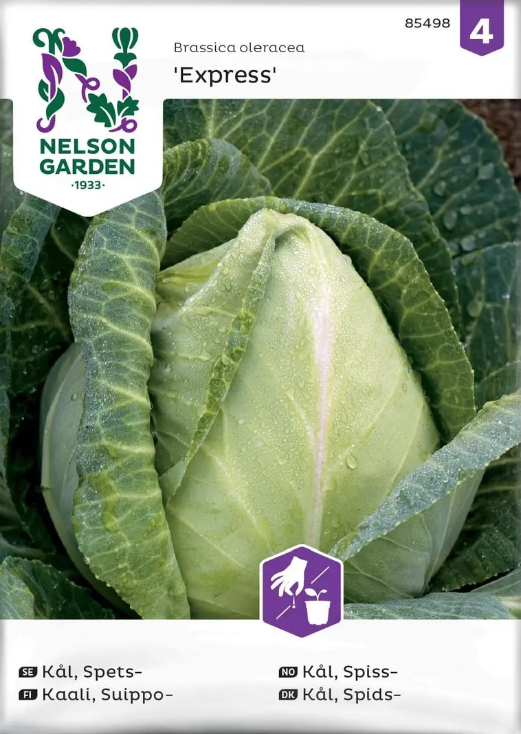 Nelson Garden Siemen Kaali, Suippo-, Express 3 Nelson Garden Siemen Kaali, Suippo-, Express