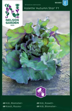 Nelson Garden Siemen Kaali, Ruusu-, Autumn Star