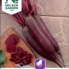 Nelson Garden Siemen Punajuuri, Forono, Pitkä