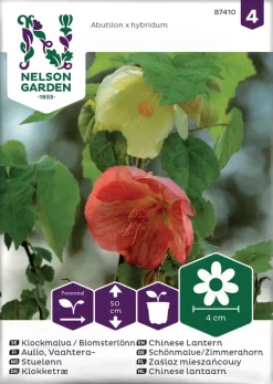 Nelson Garden Siemen Aulio, Vaahtera-