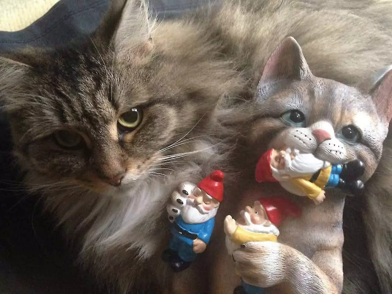 Unbranded Mischievous Cat Garden Gnome Statue Figurine - Best Art Dcor For Indoor Outdoor Home Or Office (one Size, Mischievous Cat) Xq-b17 4 Unbranded Mischievous Cat Garden Gnome Statue Figurine - Best Art Dcor For Indoor Outdoor Home Or Office (one Size, Mischievous Cat) Xq-b17 - Image 2