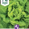 Nelson Garden Siemen Salaatti, Kerä-, Attractie -Piha myymälä 55J1HPWQ4bY8YC0F WHS45