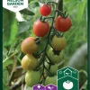Nelson Garden Siemen Kirsikkatomaatti Sunpeach F1
