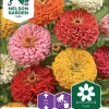 Nelson Garden Siemen Tsinnia, Iso-, Väriseos 1 Nelson Garden Siemen Tsinnia, Iso-, Väriseos -Piha myymälä 5C f2P jaAn8zg9XgqMtbe