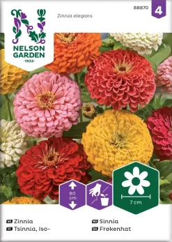 Nelson Garden Siemen Tsinnia, Iso-, Väriseos