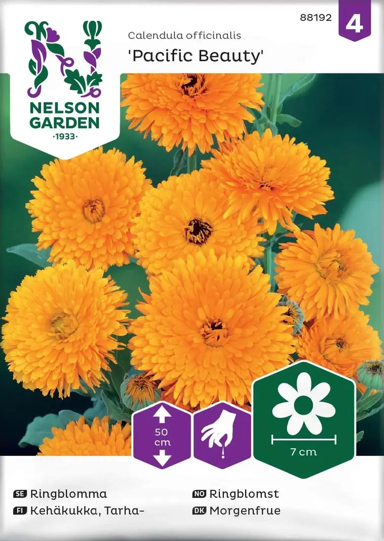 Nelson Garden Siemen Kehäkukka, Tarha-, Pacific Beauty 3 Nelson Garden Siemen Kehäkukka, Tarha-, Pacific Beauty