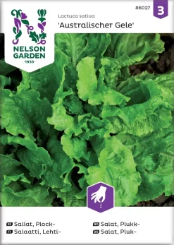 Nelson Garden Siemen Salaatti, Lehti-, Australialainen