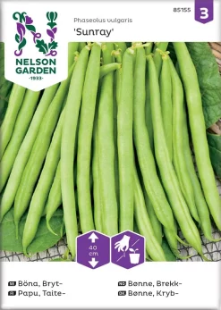 Nelson Garden Siemen Papu, Taite-, Sunray