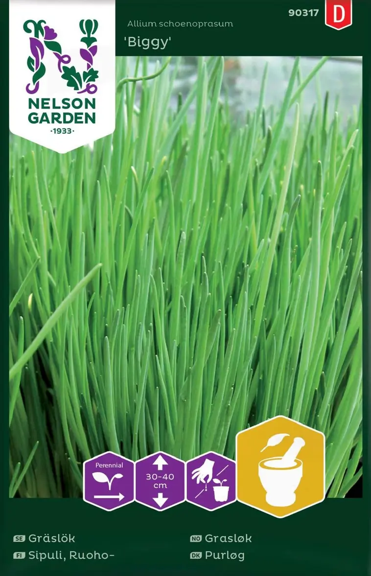 Nelson Garden Siemen Sipuli, Ruoho-, Tavallinen, Biggy 3 Nelson Garden Siemen Sipuli, Ruoho-, Tavallinen, Biggy