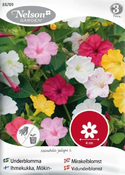 Nelson Garden Siemen Ihmekukka, Mökin-, Väriseos