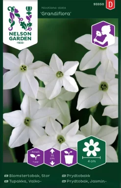 Nelson Garden Siemen Tupakka, Valko-, Grandiflora