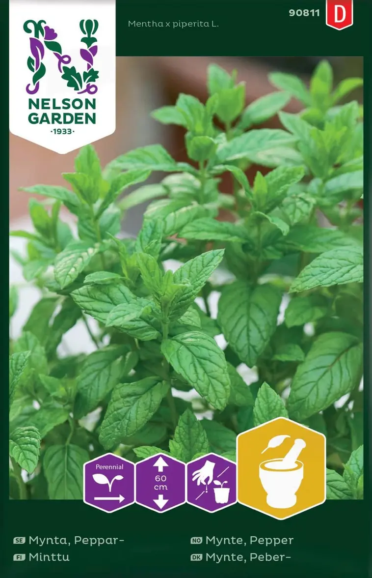 Nelson Garden Siemen Minttu 3 Nelson Garden Siemen Minttu