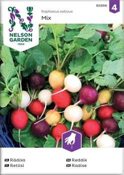 Nelson Garden Siemen Retiisi,seos, Purp. Pink, Albena, Zlata