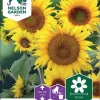 Nelson Garden Siemen Auringonkukka, Kääpiö-, Sunspot 1 Nelson Garden Siemen Auringonkukka, Kääpiö-, Sunspot -Piha myymälä 5xLGRSjeqlK8LDbC kvv1n