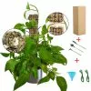 Unbranded Tortoise Backed Bamboo Garden Splicing Plant Climbing Moss Stick Portable Durable Green Pineapple Support Rod 2 Unbranded Tortoise Backed Bamboo Garden Splicing Plant Climbing Moss Stick Portable Durable Green Pineapple Support Rod -Piha myymälä 617811891 max