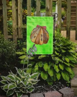 Windsocks Carolines Treasures Bb8170gf Sea Shell Green Polkadot Flag Garden Size -Piha myymälä 623412678 max