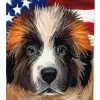 Windsocks Carolines Treasures Ck6622gf Moscow Watchdog Dog American Flag Flag Garden Size -Piha myymälä 623413984 max