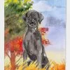 Windsocks Carolines Treasures Ck1957gf Fall Black Labrador Retriever Flag Garden Size