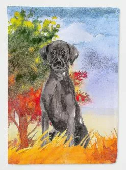 Windsocks Carolines Treasures Ck1957gf Fall Black Labrador Retriever Flag Garden Size