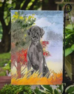 Windsocks Carolines Treasures Ck1957gf Fall Black Labrador Retriever Flag Garden Size -Piha myymälä 623414414 max