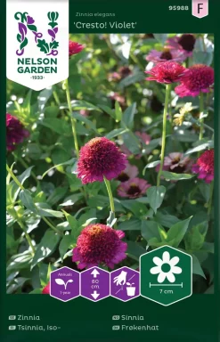 Nelson Garden Siemen Isotsinnia Cresto! Violet