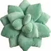 Kensty 3d Succulents Cactus Pillow, Cute Succulents, For Garden Or Green Lovers Baby Green Plant Throw Pillows,25cm 2 Kensty 3d Succulents Cactus Pillow, Cute Succulents, For Garden Or Green Lovers Baby Green Plant Throw Pillows,25cm -Piha myymälä 641529946 max 1