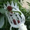 Unbranded Garden Basket Fruit Picker Head Multi-color Plastic Fruit Picking Tool Catcher Agricultural Picking Supplies -Piha myymälä 642801651 max