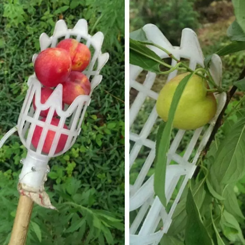 Unbranded Garden Basket Fruit Picker Head Multi-color Plastic Fruit Picking Tool Catcher Agricultural Picking Supplies 4 Unbranded Garden Basket Fruit Picker Head Multi-color Plastic Fruit Picking Tool Catcher Agricultural Picking Supplies - Image 2