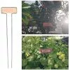 Unbranded 20pcs Metal Plant Labels Garden Plant Sign Tags T-type Stake Tags Identify Stick For Vegetables Herb Flower Garden Plant Label 2 Unbranded 20pcs Metal Plant Labels Garden Plant Sign Tags T-type Stake Tags Identify Stick For Vegetables Herb Flower Garden Plant Label -Piha myymälä 643358855 max