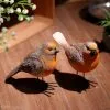 Unbranded 2 Pcs, Wild Bird Collection, Life-like Colouring, Garden Outdoor Ornaments Decor Gift 1 Unbranded 2 Pcs, Wild Bird Collection, Life-like Colouring, Garden Outdoor Ornaments Decor Gift -Piha myymälä 643400948 max