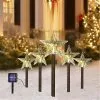 Unbranded Solar Christmas Star Lights Garden Energy Saving Waterproof Solar -Piha myymälä 643897801 max