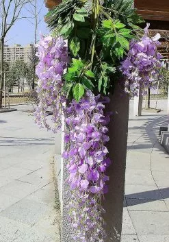 Unbranded 12pcs Artificial Fake Wisteria Vine Garland-greendec 3.6ft/piece Silk Wisteria Vine Ratta Hanging Flower For Home Garden Wedding Decor Purple Red 11 Unbranded 12pcs Artificial Fake Wisteria Vine Garland-greendec 3.6ft/piece Silk Wisteria Vine Ratta Hanging Flower For Home Garden Wedding Decor Purple Red -Piha myymälä 669059893 max
