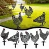 Unbranded 5pcs Chicken Decorative Handcraft Garden Statues, Garden Figurine Acrylic Chicken Decorative Handcra -Piha myymälä 679089187 max