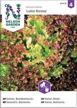 Nelson Garden Siemen Salaatti, Batavia-, Lollo Rossa