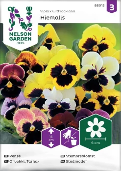 Nelson Garden Siemen Orvokki, Tarha-, Hiemalis, Väriseos