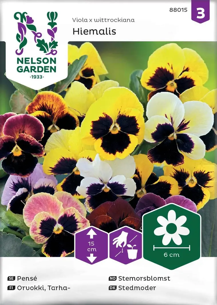 Nelson Garden Siemen Orvokki, Tarha-, Hiemalis, Väriseos 3 Nelson Garden Siemen Orvokki, Tarha-, Hiemalis, Väriseos