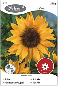 Nelson Garden Siemen Auringonkukka Jätti 250 G