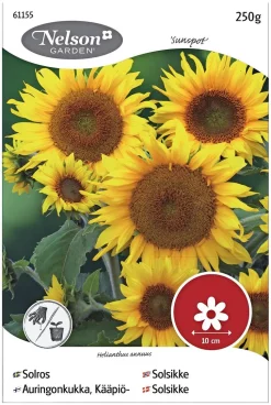Nelson Garden Siemen Auringonkukka Matala, Sunspot 250 G