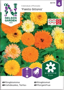 Nelson Garden Siemen Kehäkukka, Tarha-, Fiesta Gitana