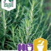 Nelson Garden Siemen Rosmariini -Piha myymälä 6riDGnakqSbBW8KHAGdJ8l