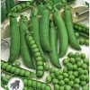 Nelson Garden Siemen Herne, Silpo-, Markana 1 Kg