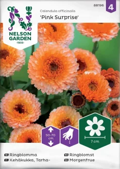 Nelson Garden Siemen Kehäkukka, Tarha-, Pink Surprise