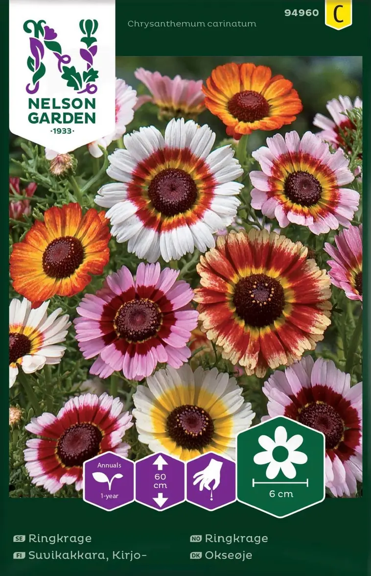 Nelson Garden Siemen Suvikakkara, Kirjo- 3 Nelson Garden Siemen Suvikakkara, Kirjo-